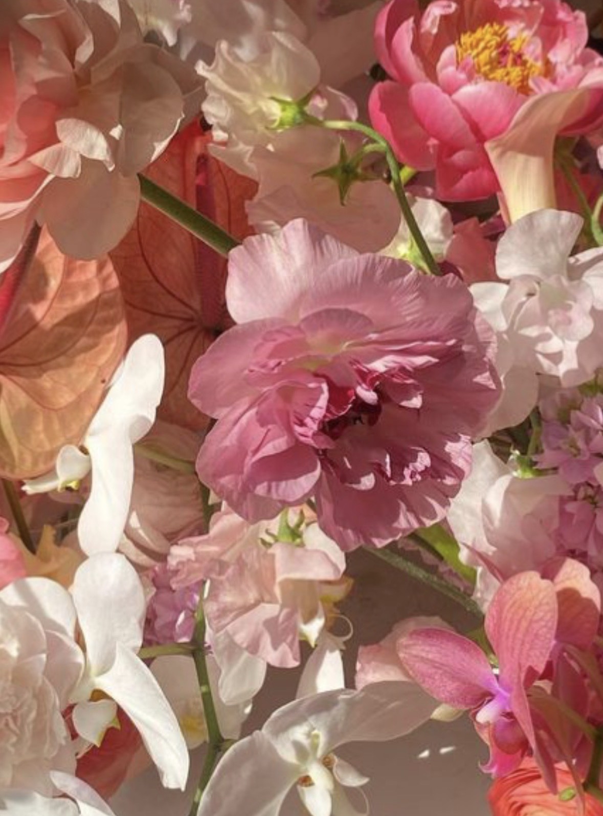 Buket af rosa blomster